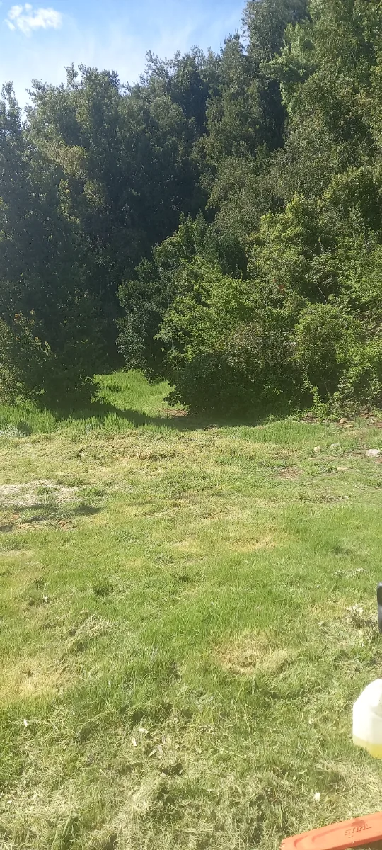 Parcela 5.500 mts. En Linares, foto 1
