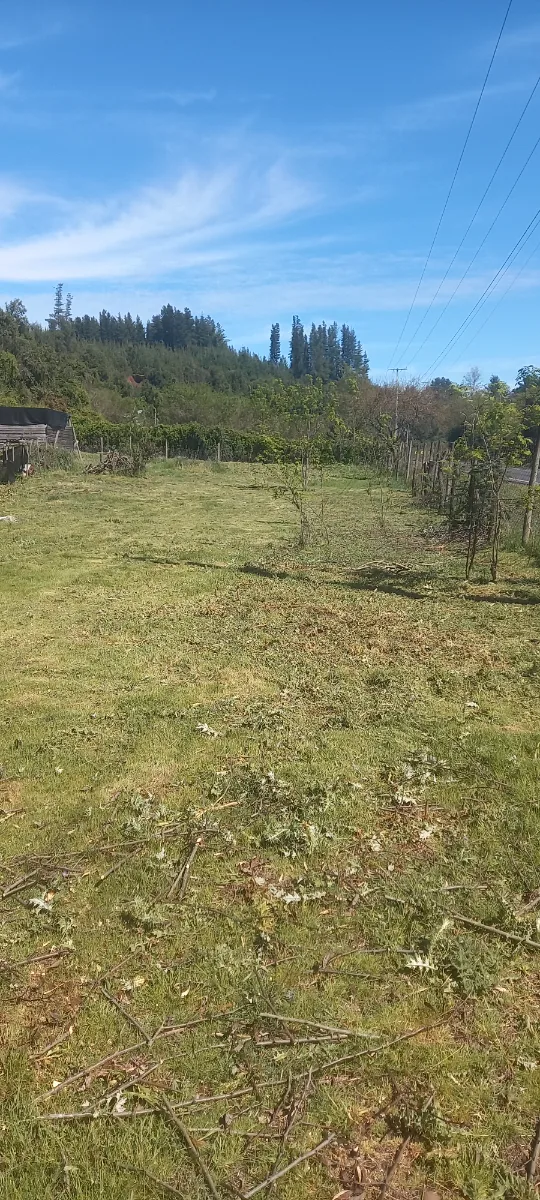 Parcela 5.500 mts. En Linares, foto 3