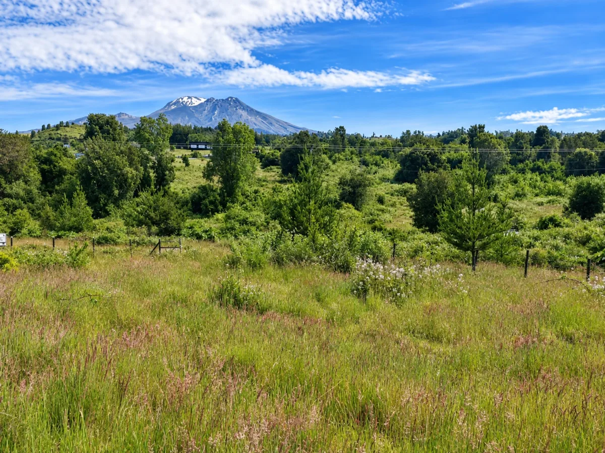 Parcela de 5.000 m² en Ensenada | Puerto Varas, foto 3