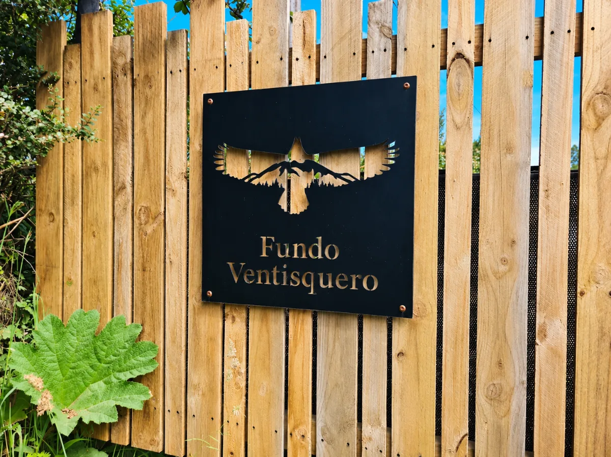 Parcela de 5.000 m² en Ensenada | Puerto Varas, foto 6