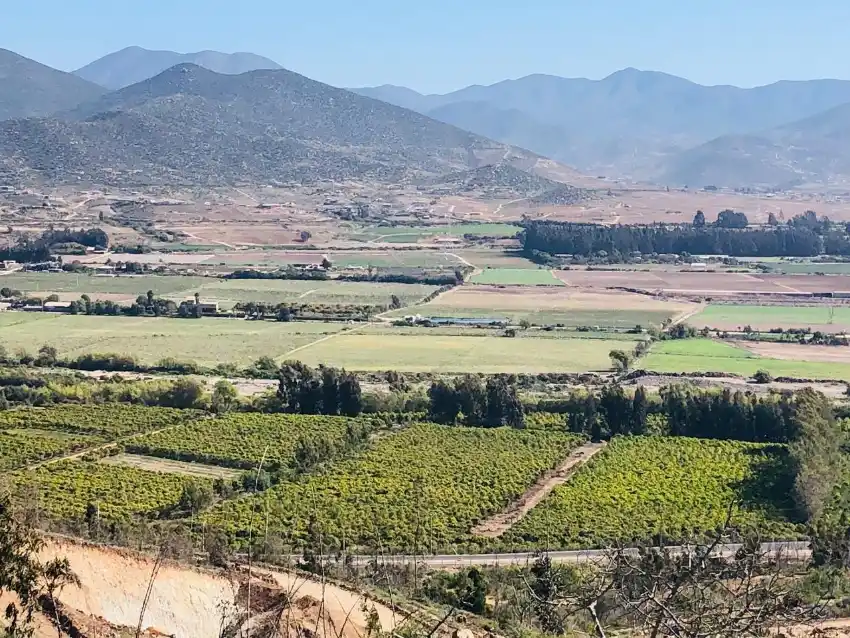 Parcelas en Las Rojas, Valle de Elqui, 5.000 m² - rol propio