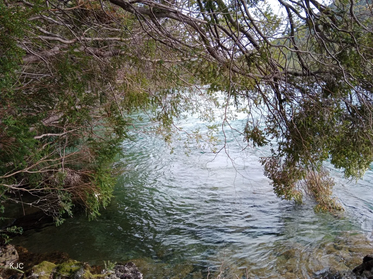 Terreno rural segundo Corral, foto 4