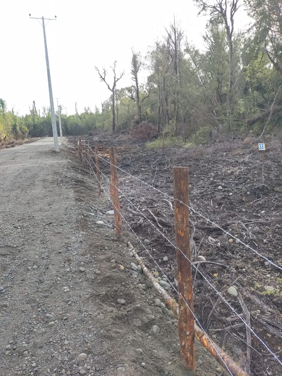 Parcela 5.000 m² en Chiloé, Aguas Buenas, foto 3