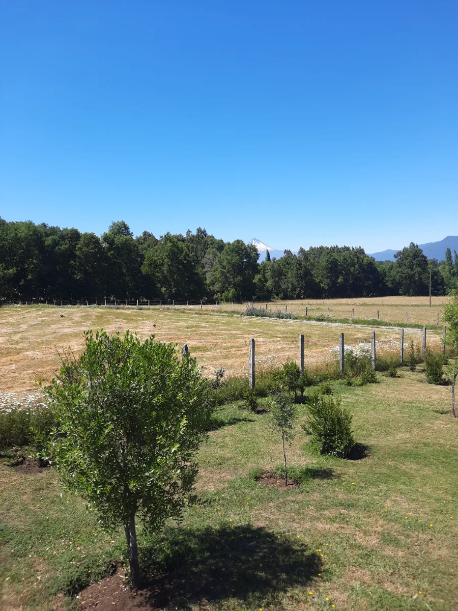Parcela de 5.000 mts Curacautín, foto 3
