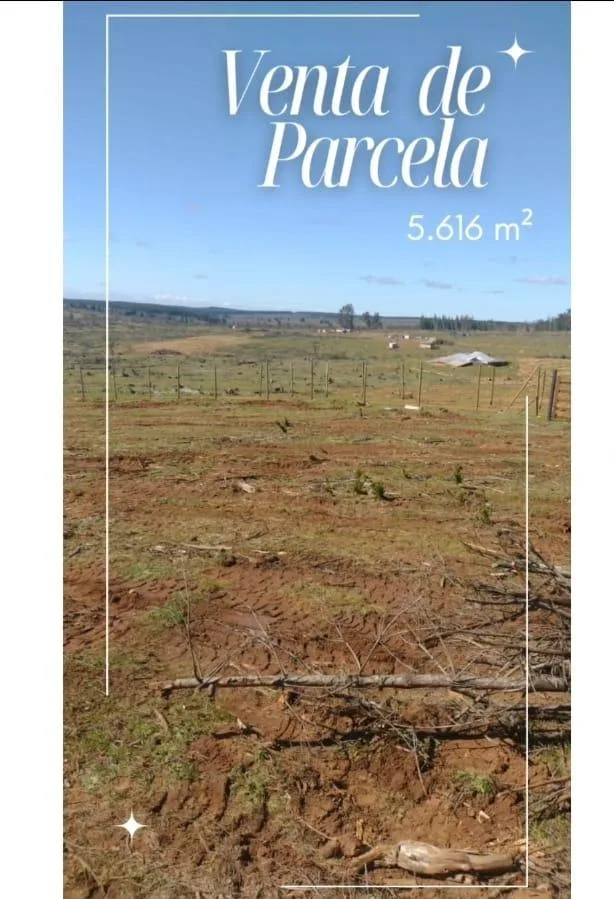 Parcela 5.000 m²/pozo propio 50 m/rol propio/$15 mill, foto 2