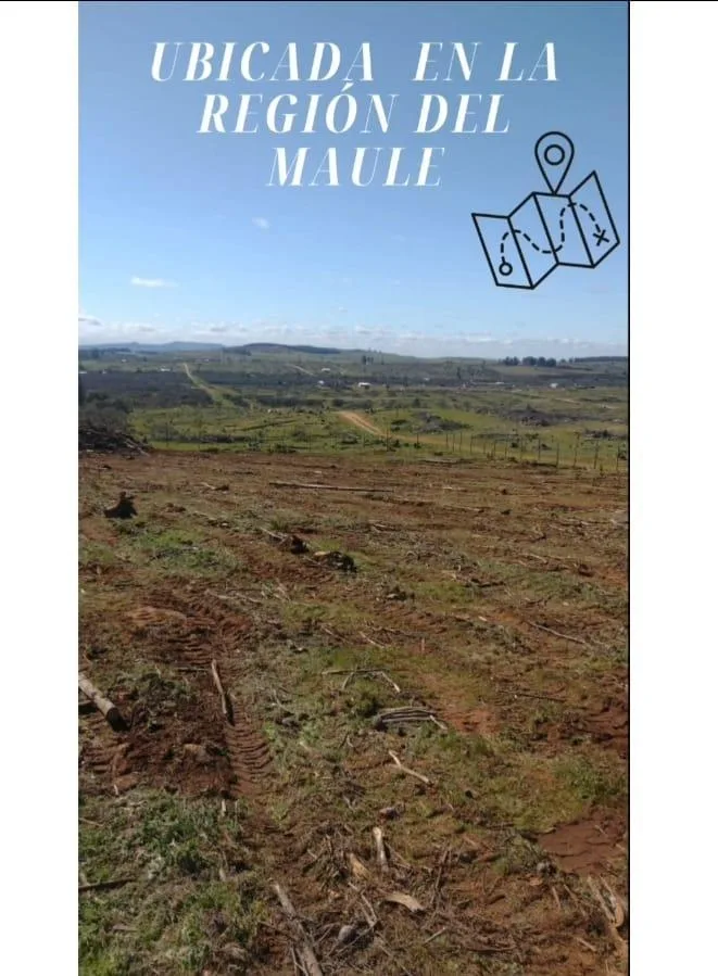 Parcela 5.000 m²/pozo propio 50 m/rol propio/$15 mill, foto 3