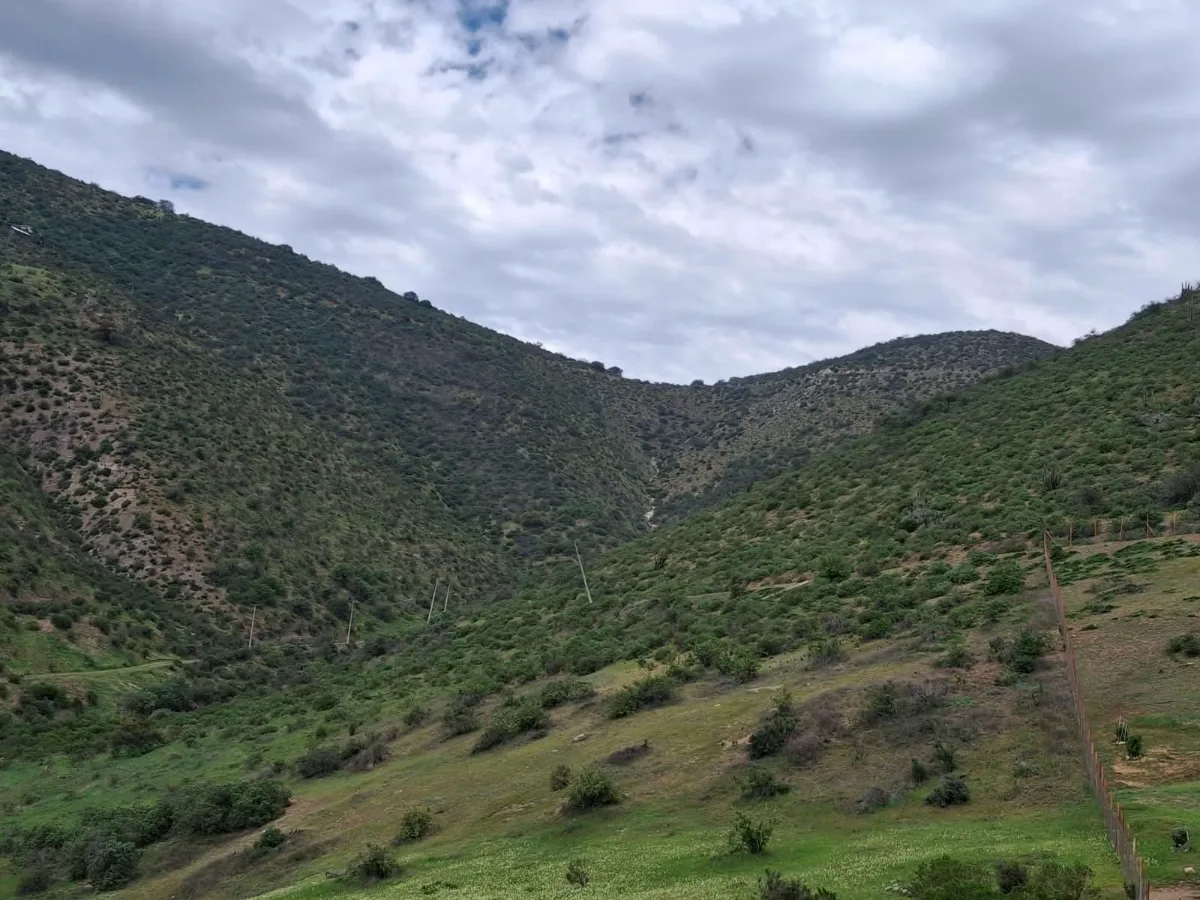 Terreno en venta, Calera de Tango, foto 1