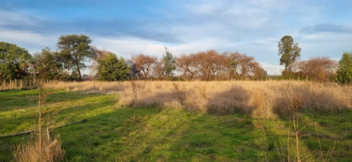 Venta Parcela de Agrado En Los Ángeles, foto 1