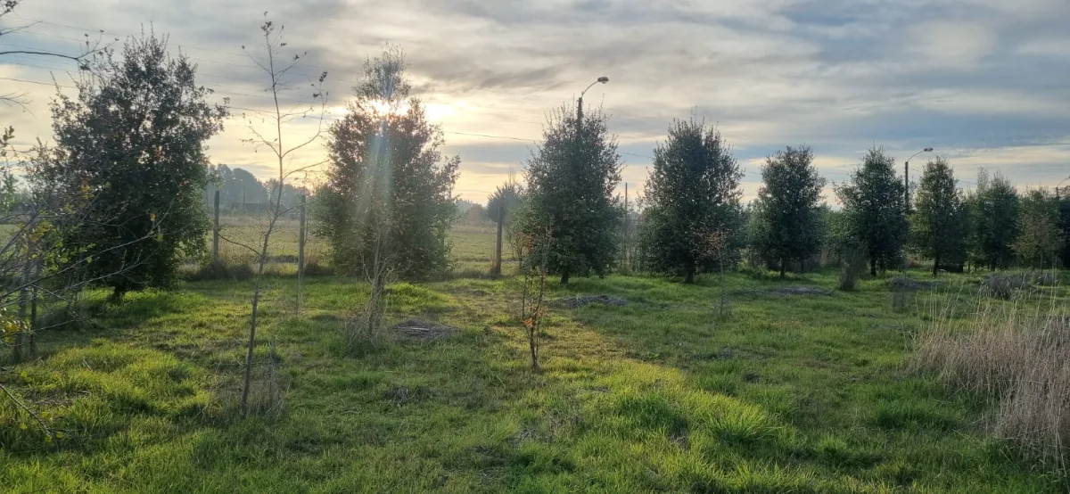 Venta Parcela de Agrado En Los Ángeles, foto 4