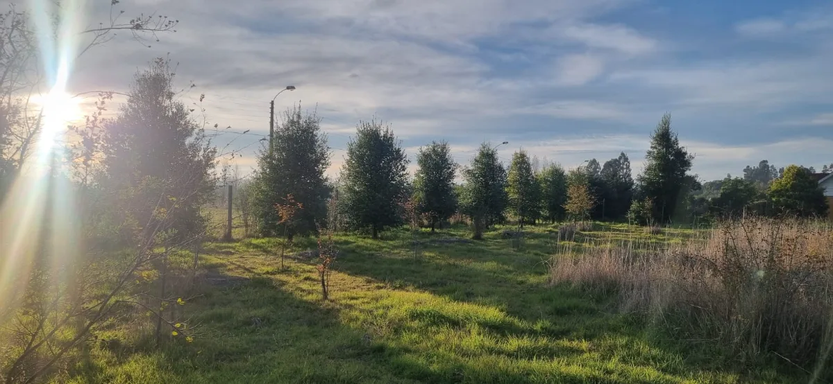 Venta Parcela de Agrado En Los Ángeles, foto 2