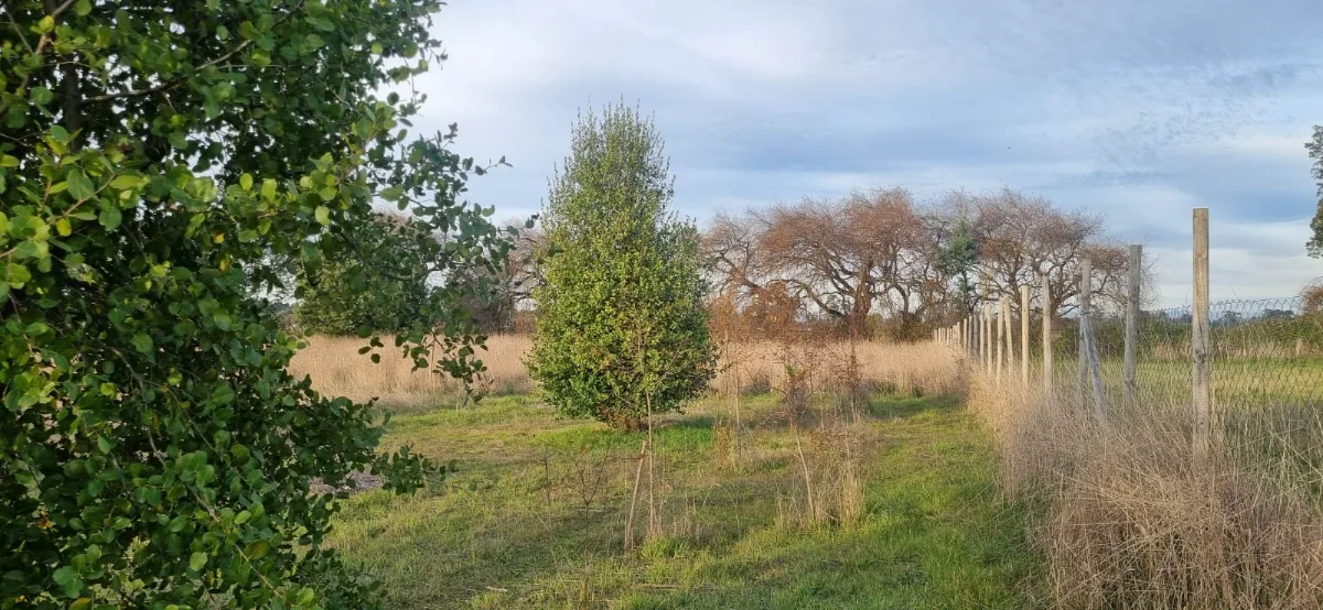 Venta Parcela de Agrado En Los Ángeles, foto 3