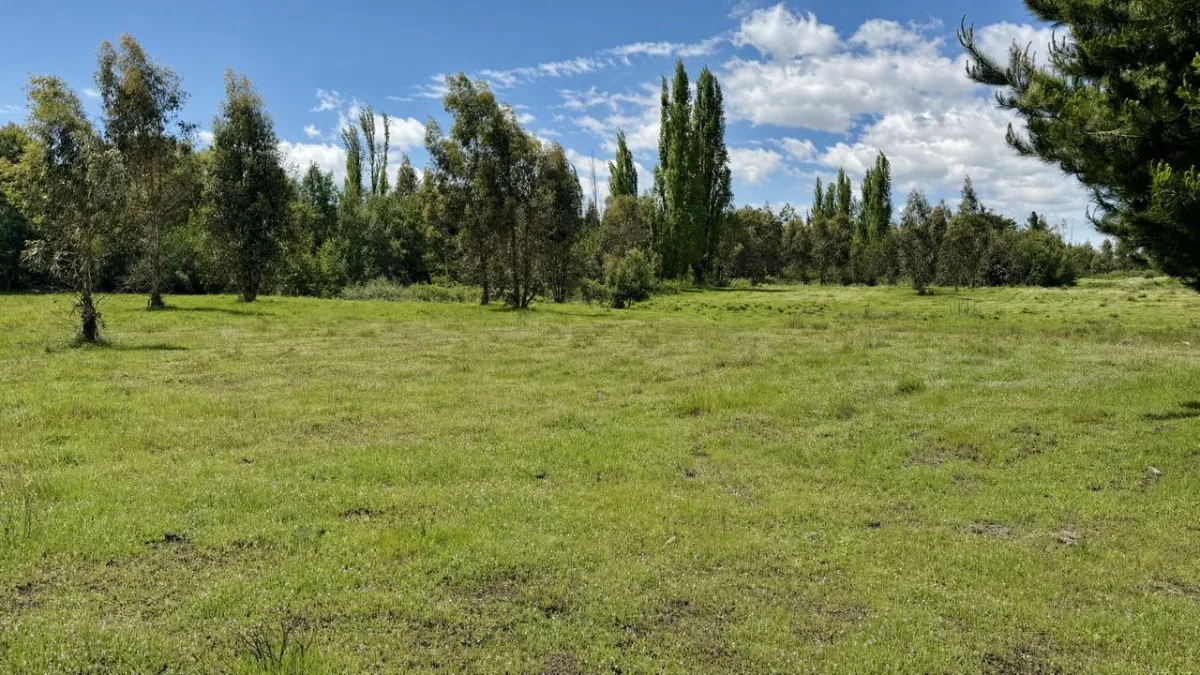 Parcela en Los Ángeles sector isla, foto 8