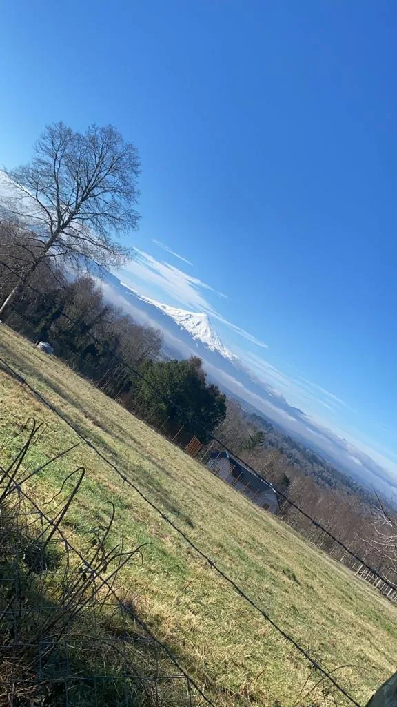 Parcela Villarrica con casa en construcción, foto 4