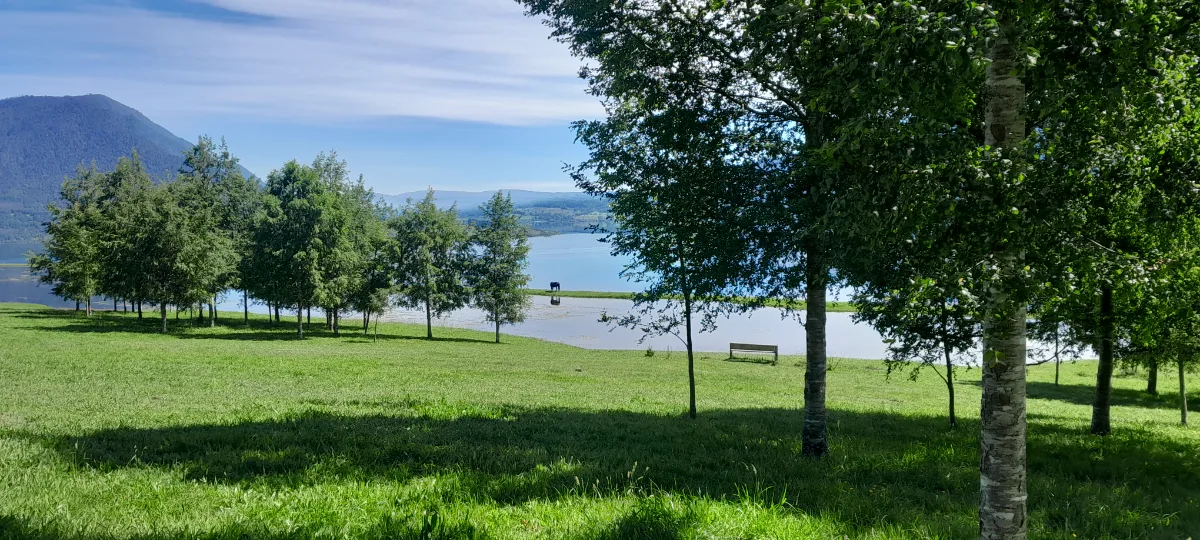 Parcelas en Lago Riñihue, foto 5