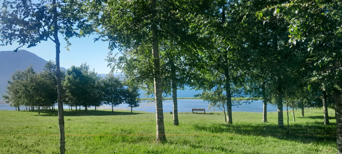Parcelas en Lago Riñihue, foto 4