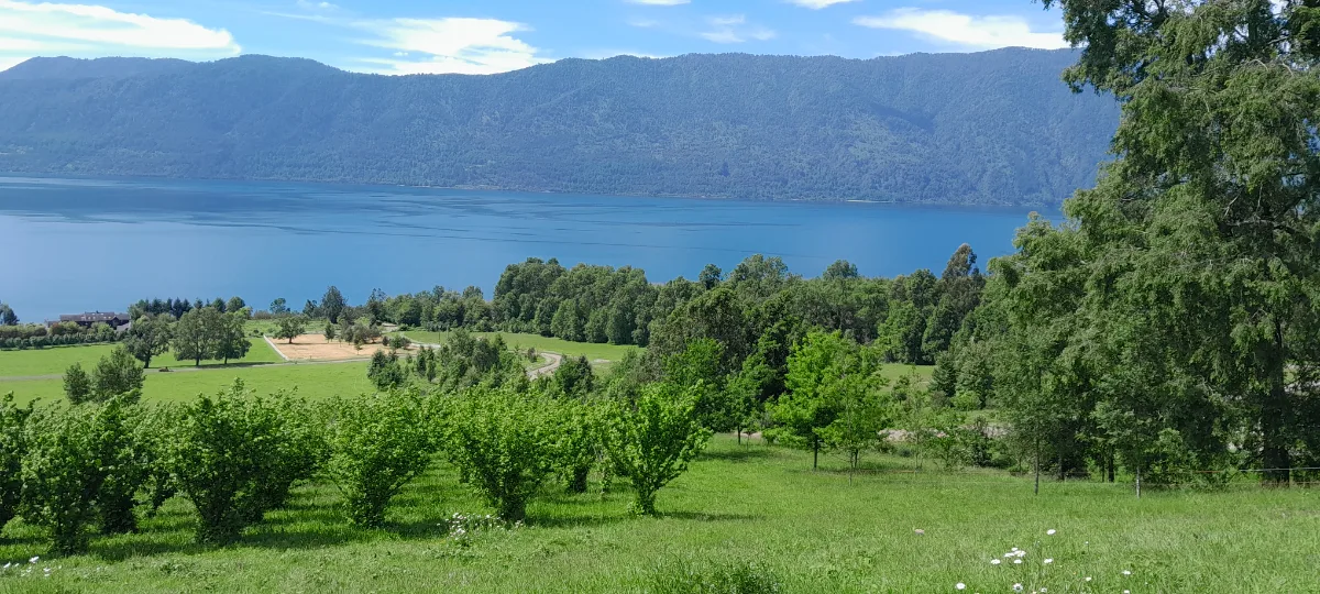 Parcelas en Lago Riñihue, foto 3