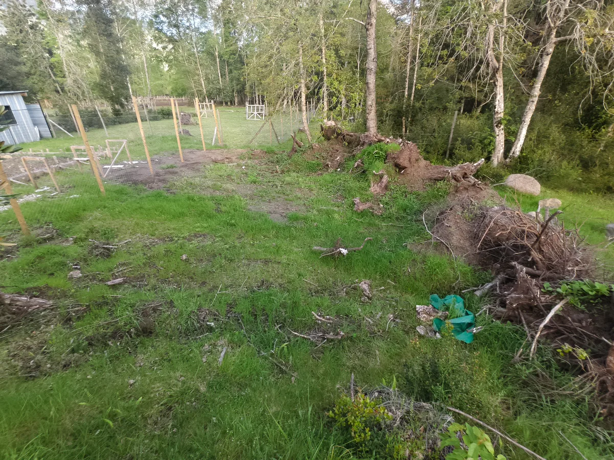 Sitio en Coñaripe, foto 3