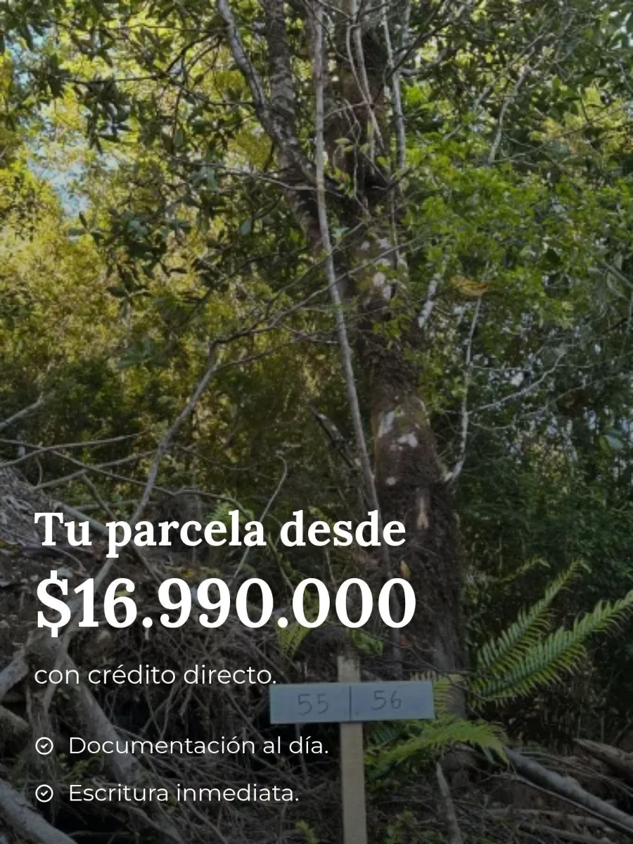 Refugios dónde nace la Carretera Austral, foto 1