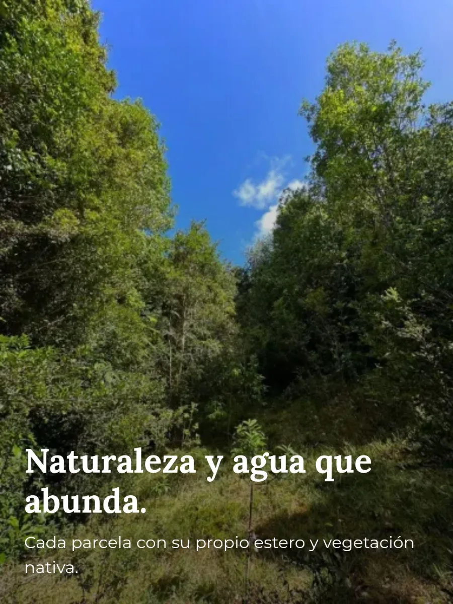 Refugios dónde nace la Carretera Austral, foto 4