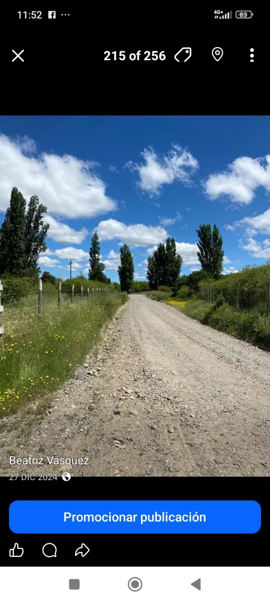 Parcela de 5000 metros con casa nueva, foto 8