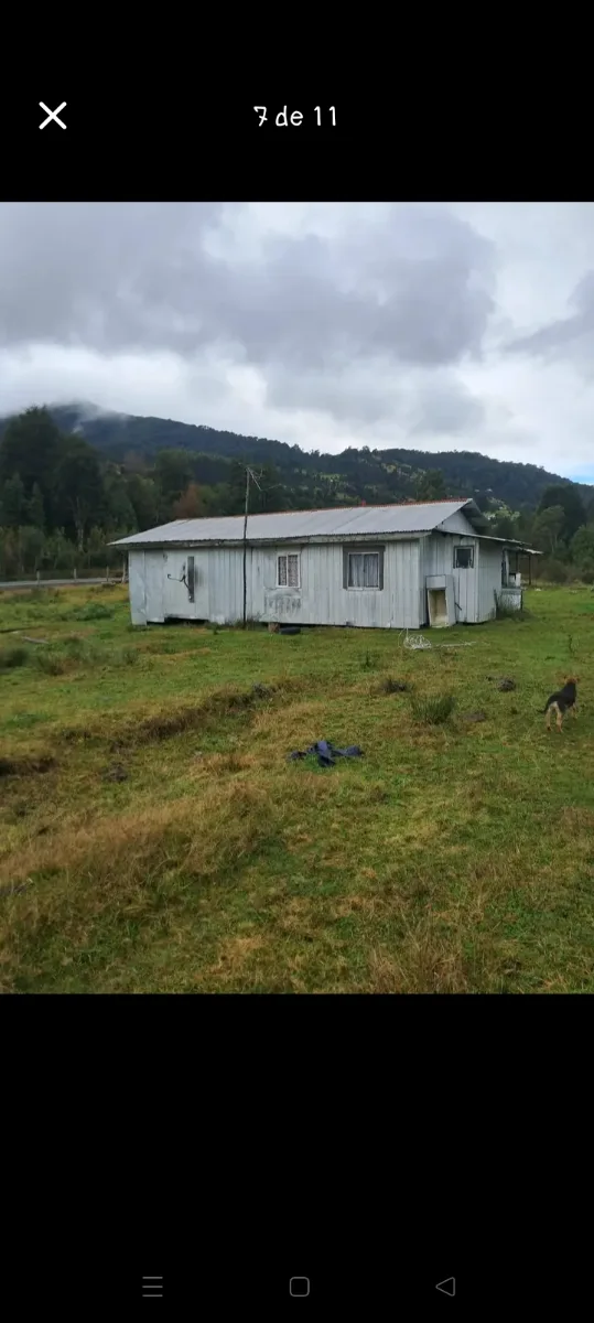 Parcela 7000m² Santa Elvira comuna de Puyehue, foto 6