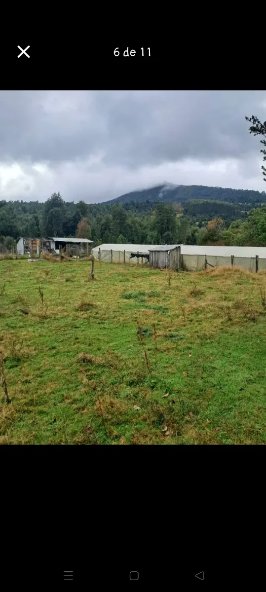 Parcela 7000m² Santa Elvira comuna de Puyehue, foto 5