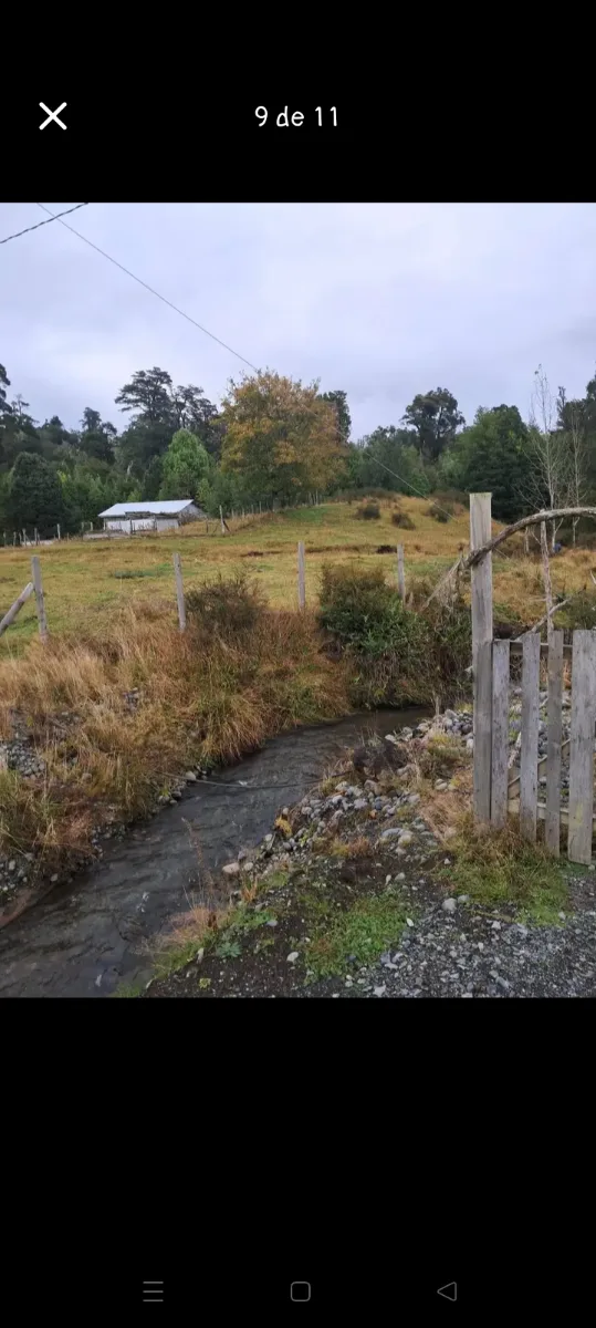 Parcela 7000m² Santa Elvira comuna de Puyehue, foto 4