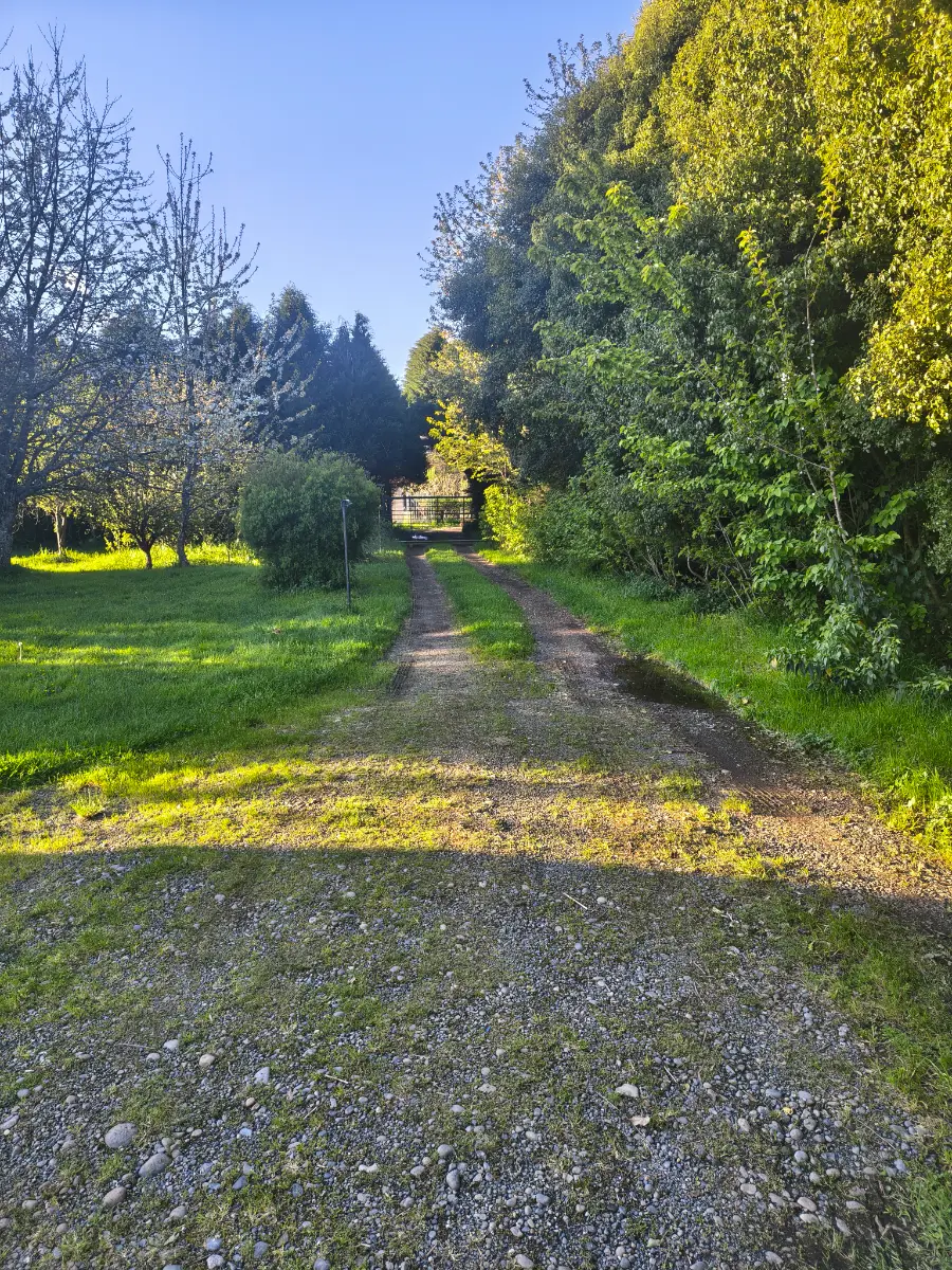 Parcela con casa Osorno, foto 3