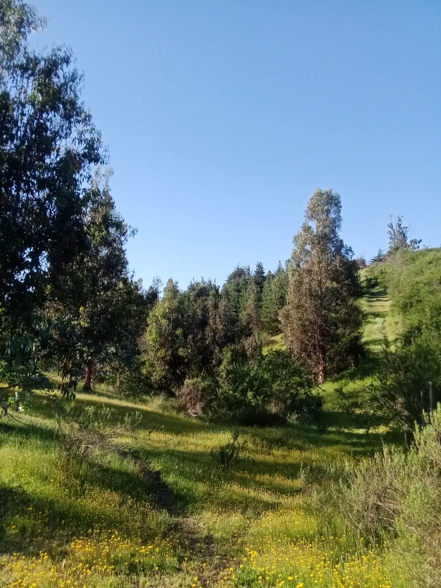 Parcela Tabolango, foto 1