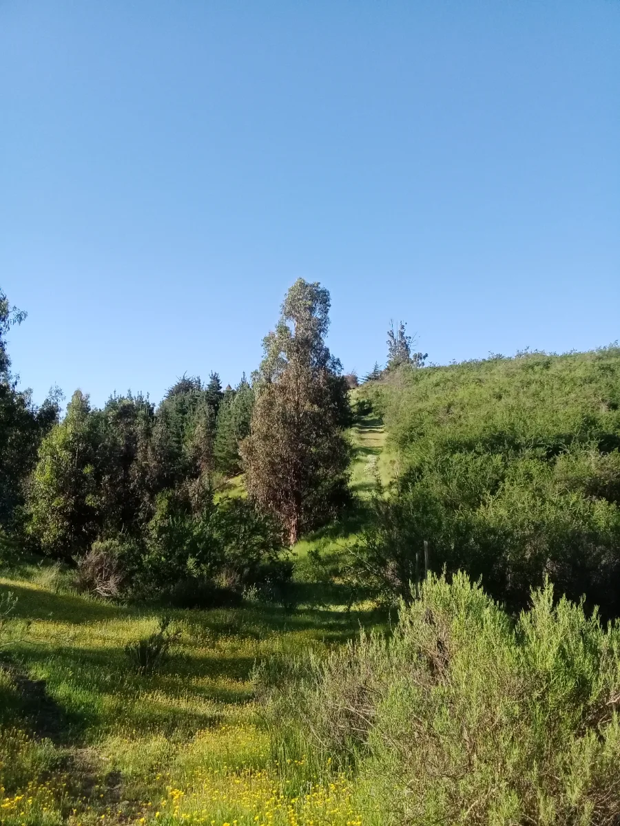 Parcela Tabolango, foto 2