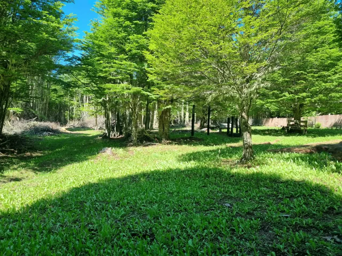 Parcela 24.000 m² con casa y 4 roles en Coyhaique, foto 2