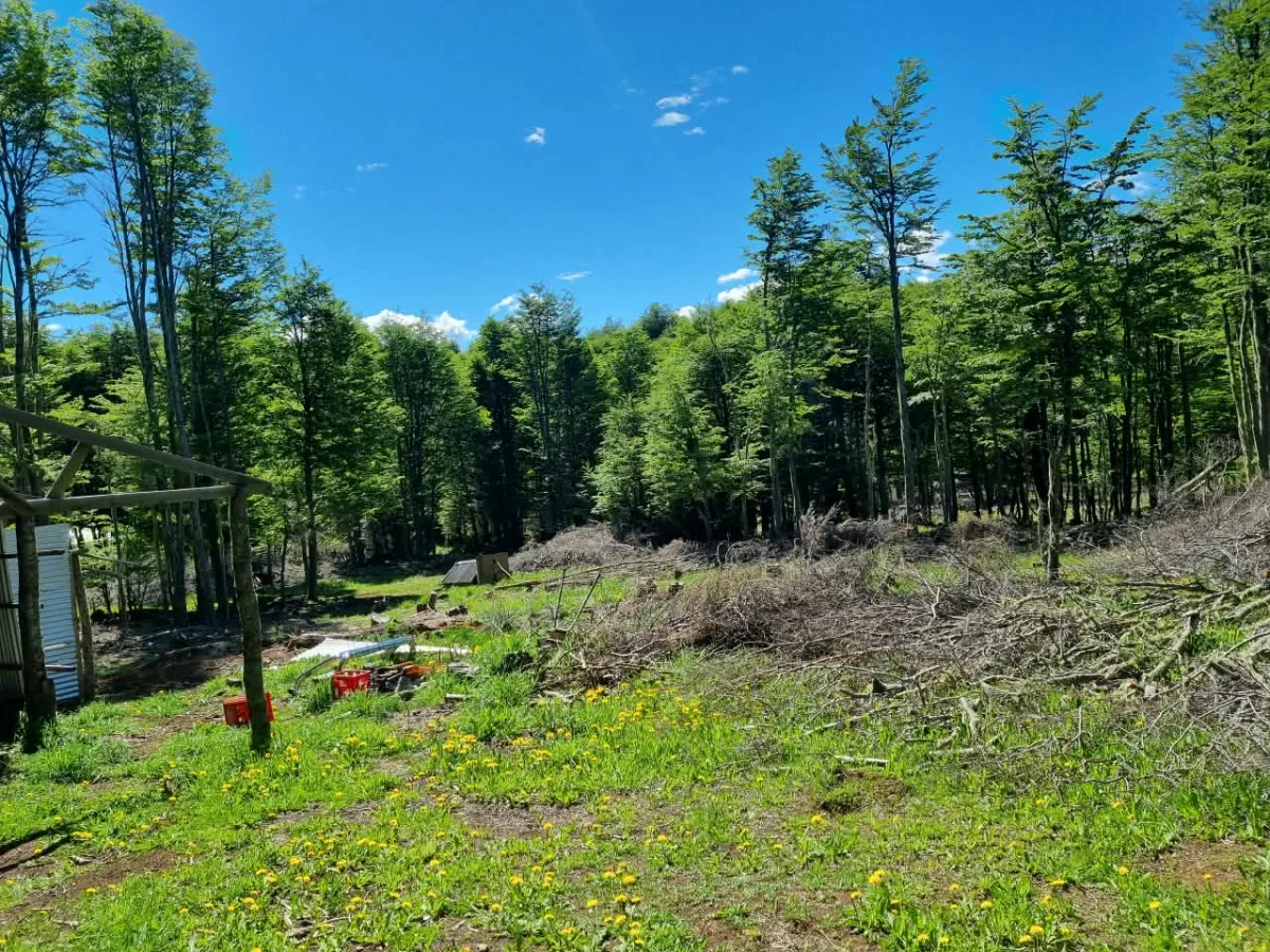 Parcela 24.000 m² con casa y 4 roles en Coyhaique, foto 4