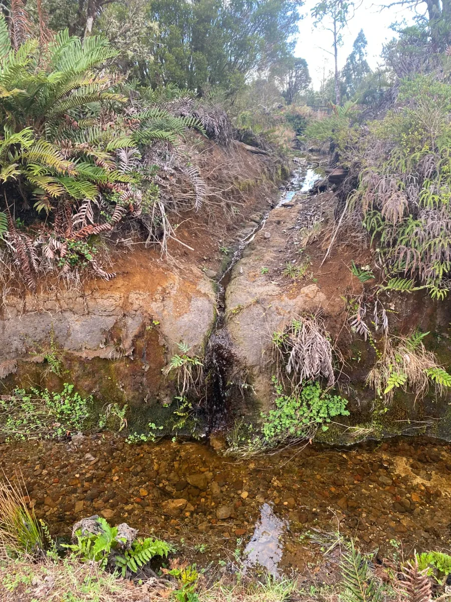 Terreno Puerto Varas único dueño se vende paño completo, foto 4