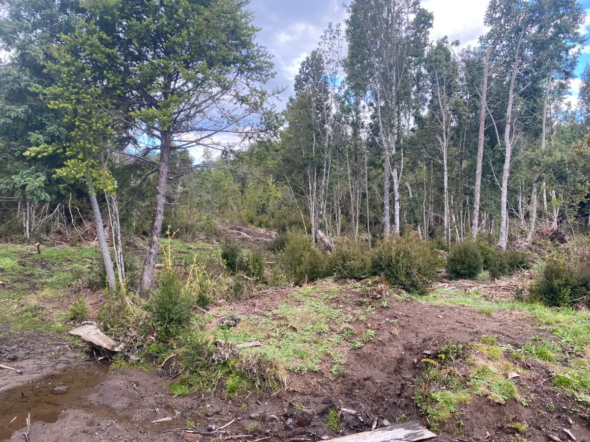 Terreno Puerto Varas único dueño se vende paño completo, foto 3
