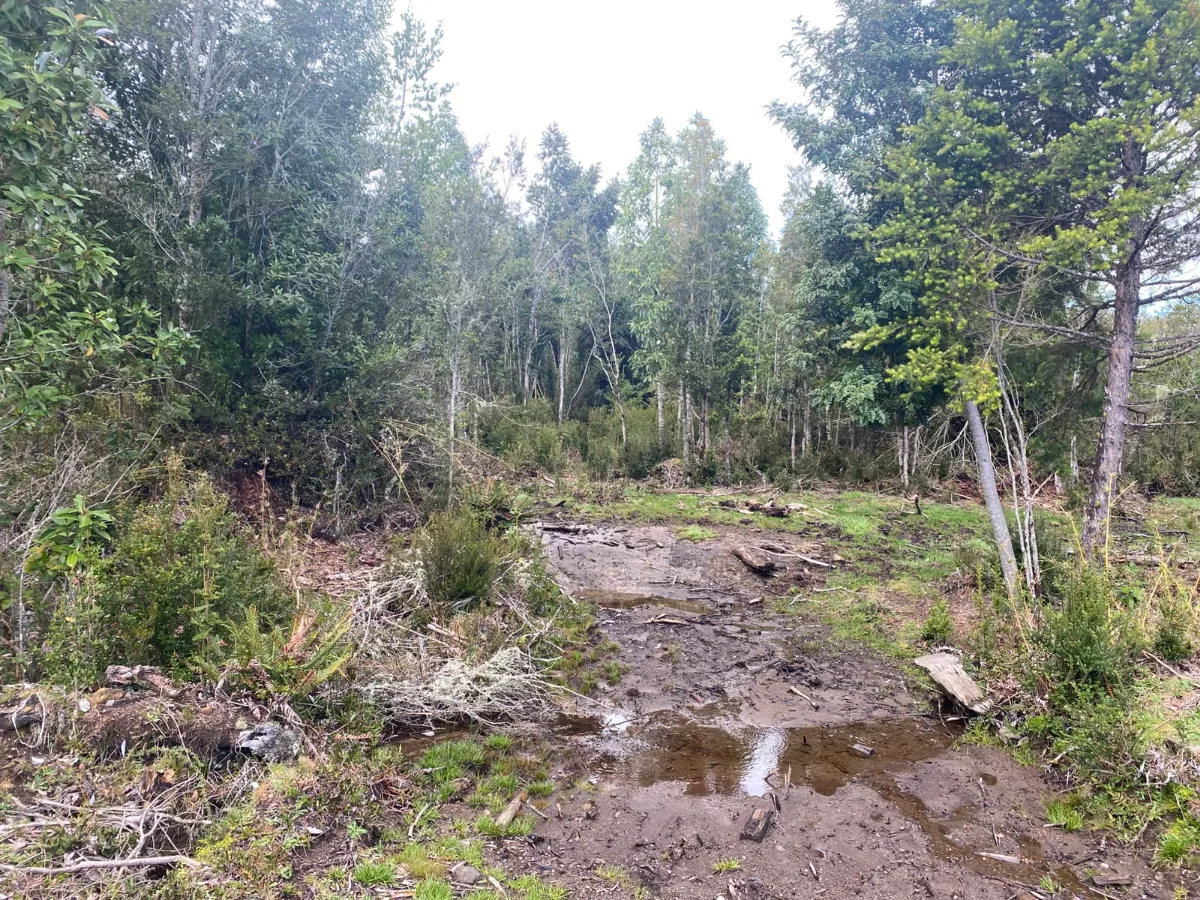 Terreno Puerto Varas único dueño se vende paño completo, foto 6