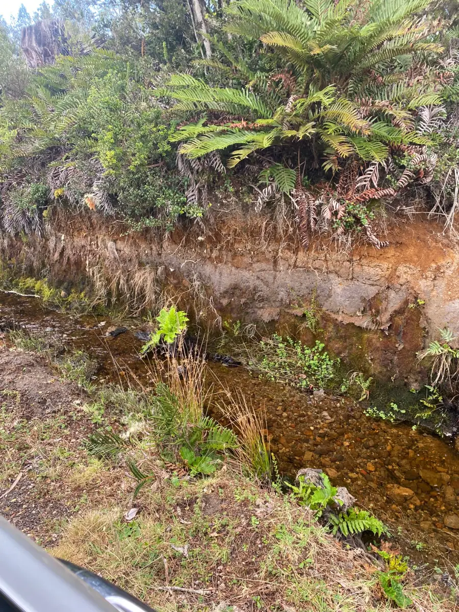 Terreno Puerto Varas único dueño se vende paño completo, foto 5