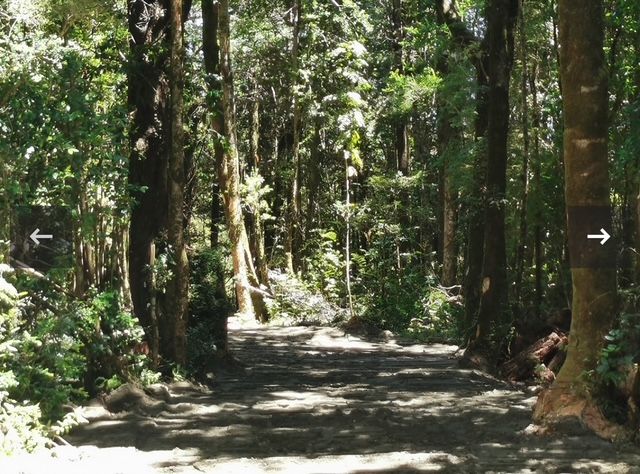 Hermosa parcela de 10.000 m2 con casa y orilla de río Peñol