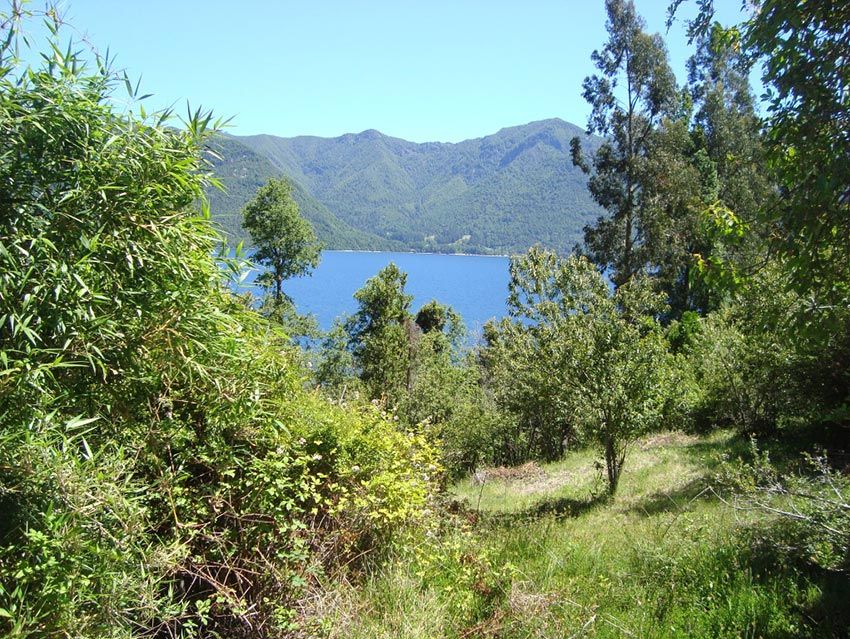 Terreno 4 Ha, Acceso Lago Colico — Cunco, Araucanía