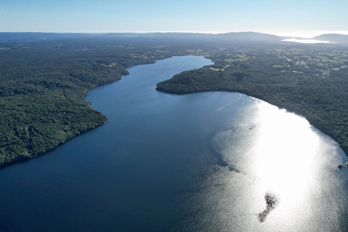 Rivera Tarahuin - imagen 2