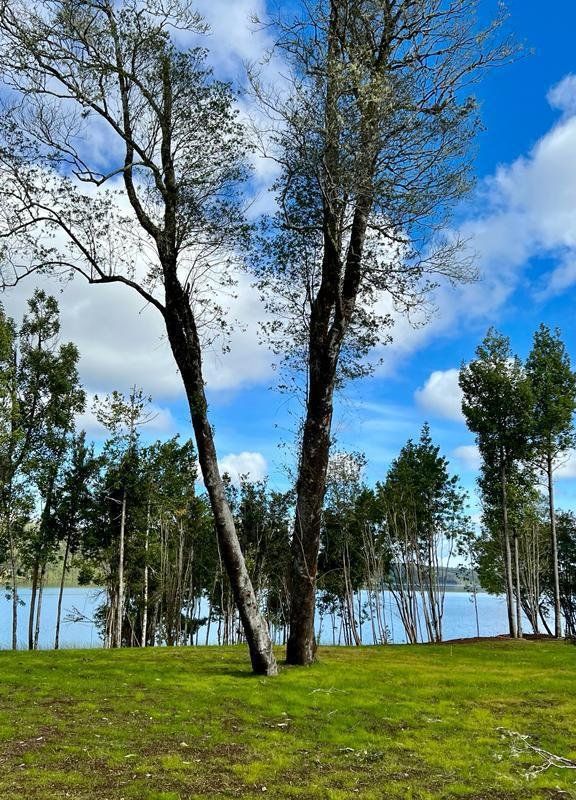 Rivera Tarahuin - imagen 8