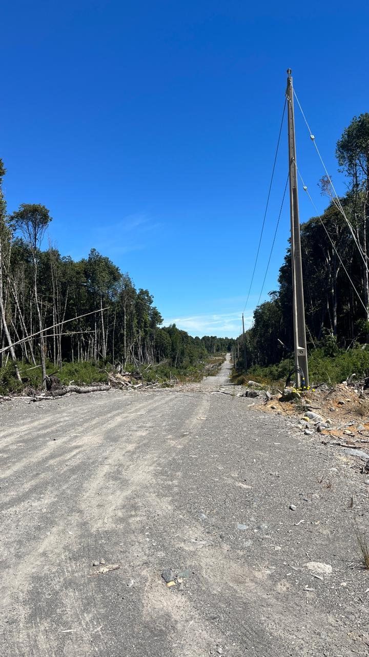 Alerces de Lauca - imagen 4