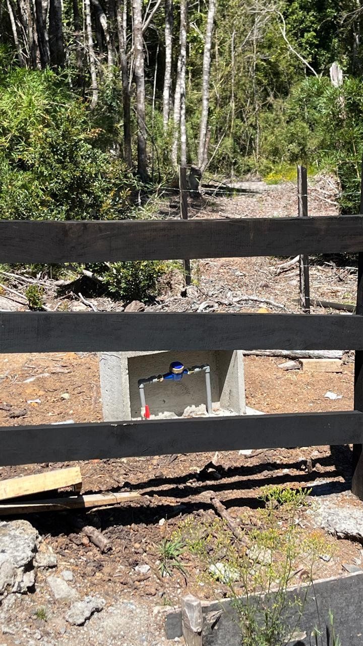 Alerces de Lauca - imagen 5