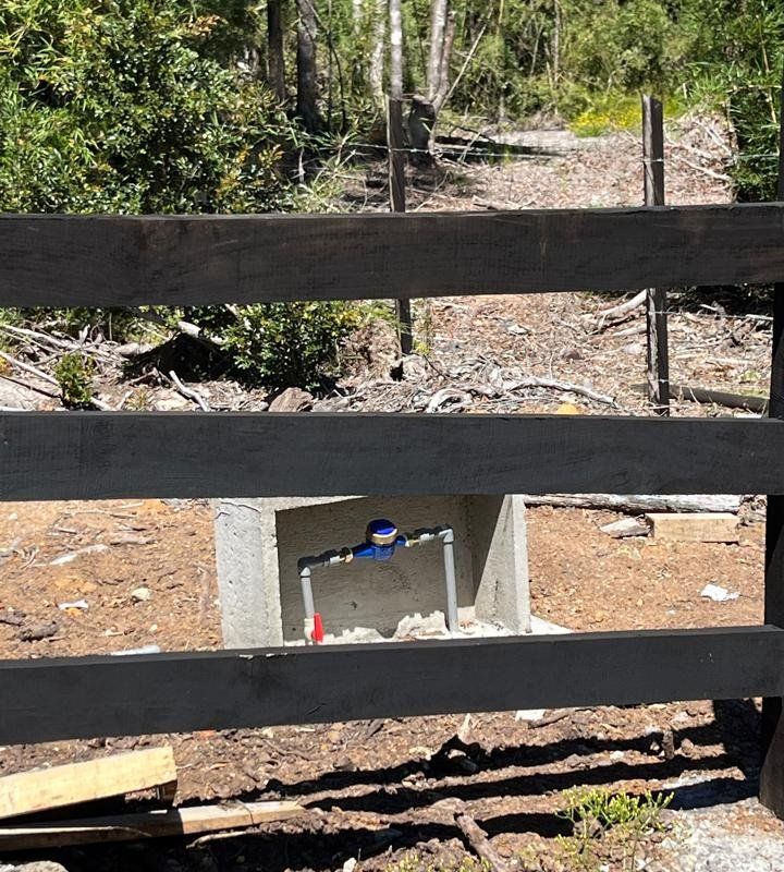 Alerces de Lauca - imagen 5