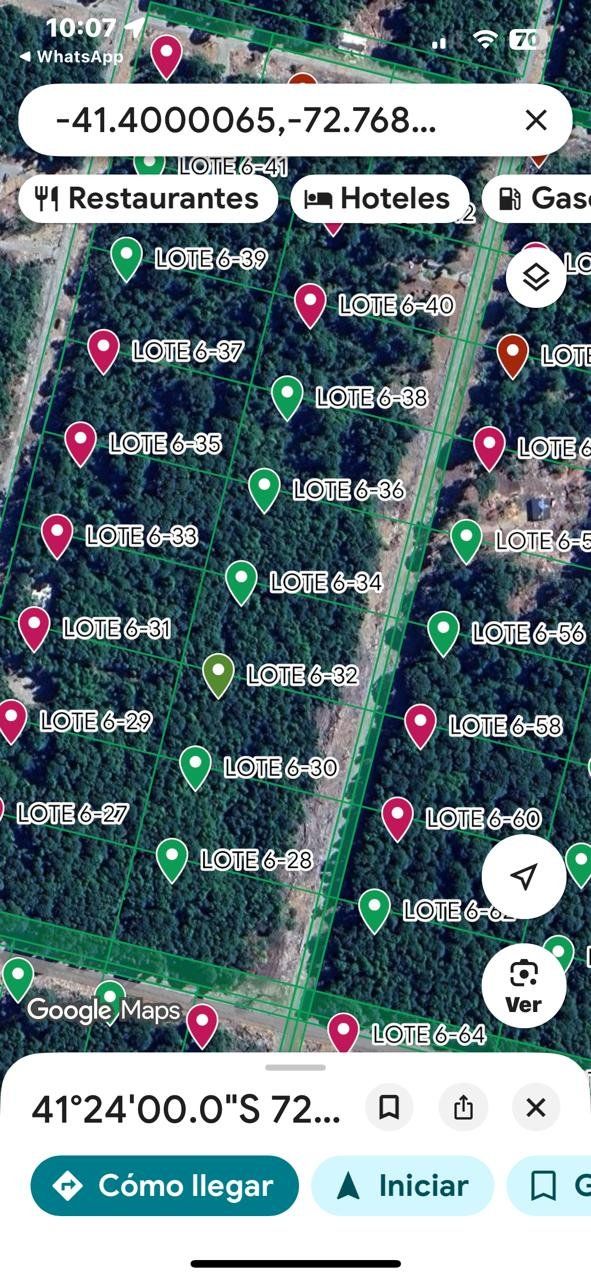 Alerces de Lauca - imagen 6