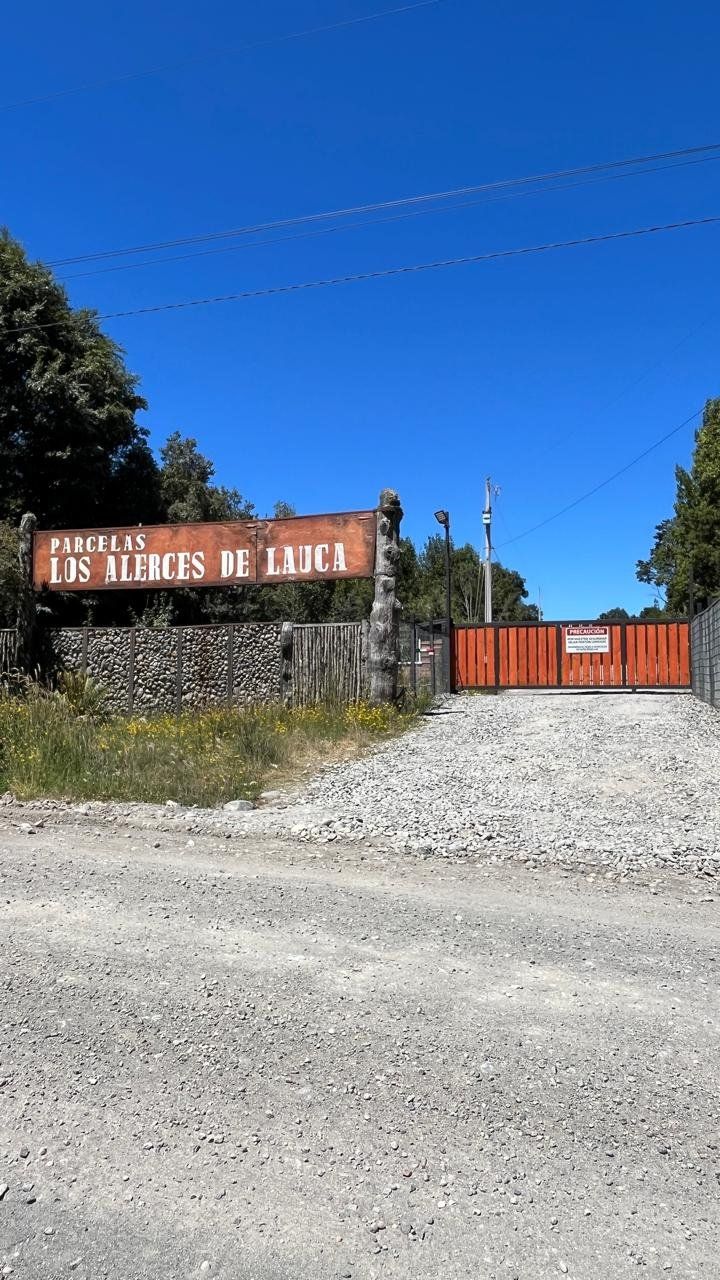 Alerces de Lauca - imagen 1