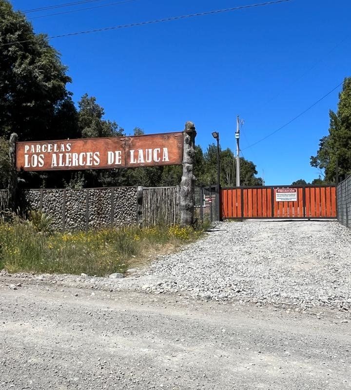 Alerces de Lauca - imagen 1