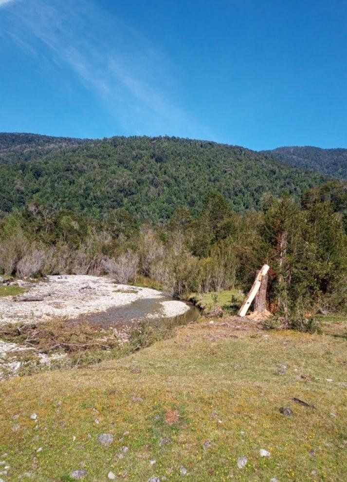Parcelacion Isla Llancahué (Hualaihué) - imagen 2