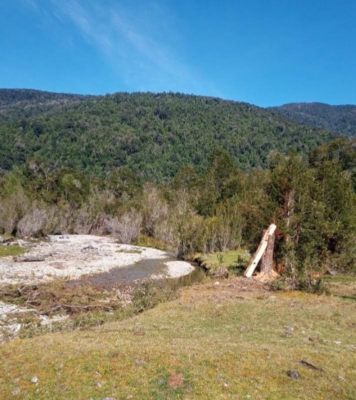 Parcelacion Isla Llancahué (Hualaihué) - imagen 2