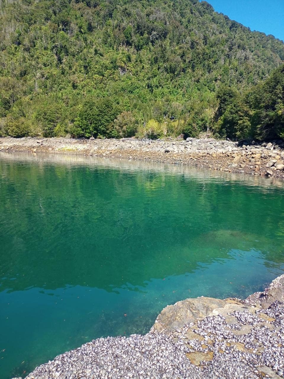Parcelacion Isla Llancahué (Hualaihué) - imagen 1