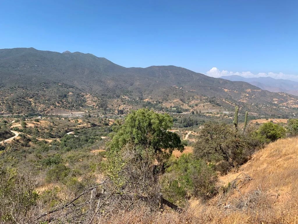 Curacaví, Venta Parcela Hacienda San Jose 251 Lr